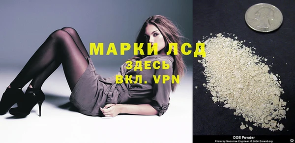 индика Арсеньев