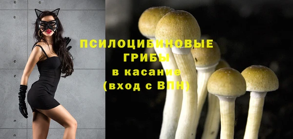 spice Армянск
