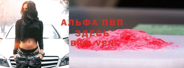 индика Арсеньев