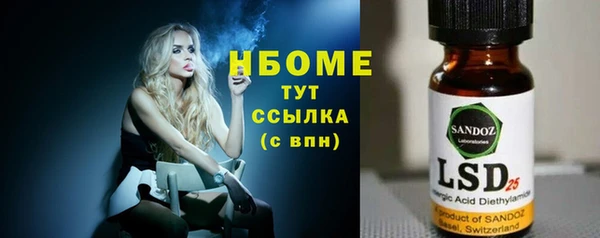 индика Арсеньев