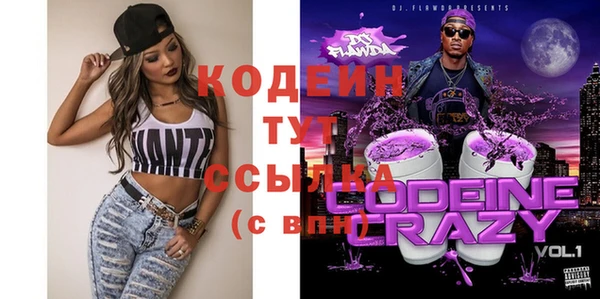 индика Арсеньев