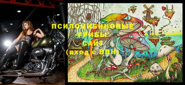 индика Арсеньев