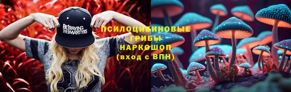 Альфа ПВП Алзамай
