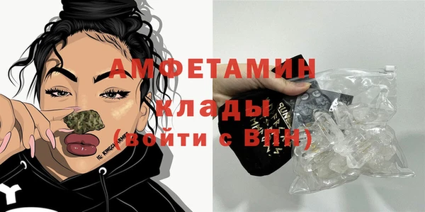 индика Арсеньев