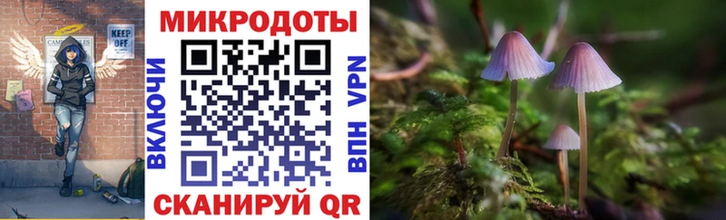Галлюциногенные грибы MAGIC MUSHROOMS  Рубцовск 
