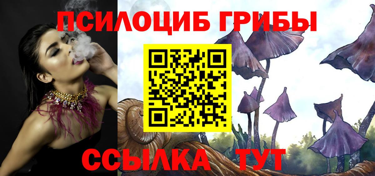 Галлюциногенные грибы MAGIC MUSHROOMS  Вход с VPN  Рубцовск 